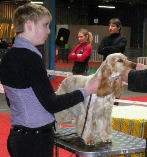 Elastic girl du Domaine de Kérarzic Vilin - Excellent NC