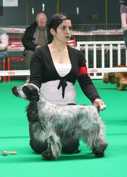 Umia des Epinais - Excellente NC