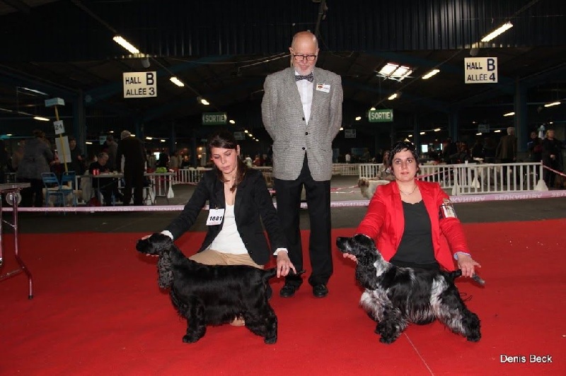 CH. I follow rivers du Domaine de Kérarzic Vilin - 1ère Excellente CACS RCACIB