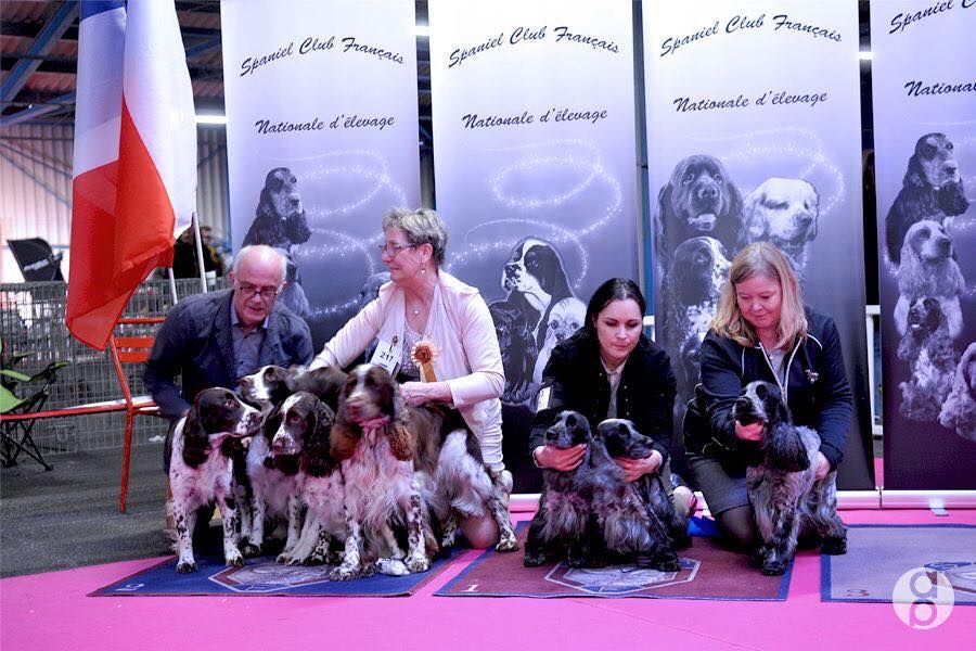 CH. I follow rivers du Domaine de Kérarzic Vilin - BIS Lot d'Elevage