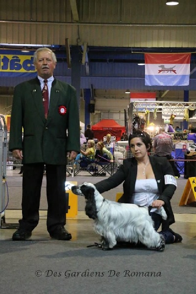 CH. Fatal-beauty du Domaine de Kérarzic Vilin - 1ère excellente CACL