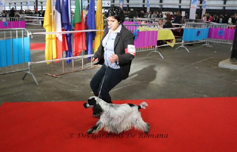 CH. Fatal-beauty du Domaine de Kérarzic Vilin - 1ère Excellente RCACS