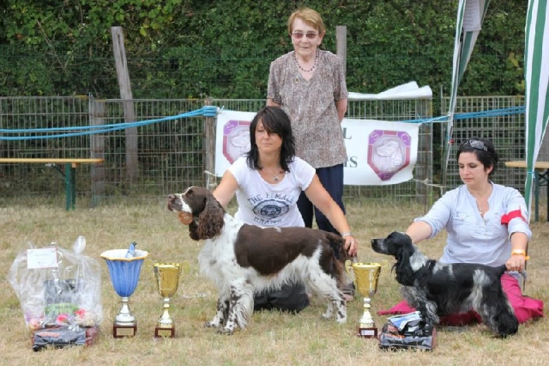 CH. I follow rivers du Domaine de Kérarzic Vilin - 1ère excellente BOB Jeune BOB RBIS