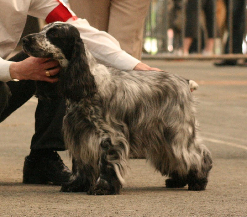 Umia des Epinais - 2ème Excellente