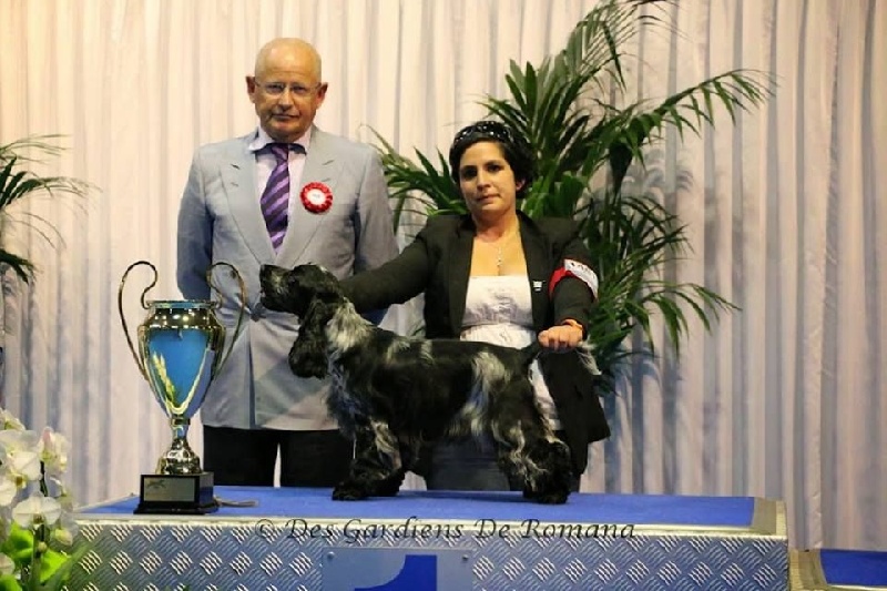 CH. I follow rivers du Domaine de Kérarzic Vilin - BIS Jeune femelle