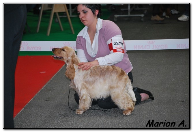 Elastic girl du Domaine de Kérarzic Vilin - Excellent NC