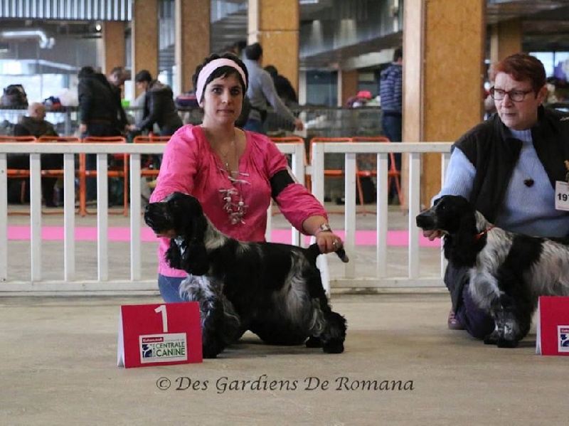 CH. I follow rivers du Domaine de Kérarzic Vilin - 1ère Excellente