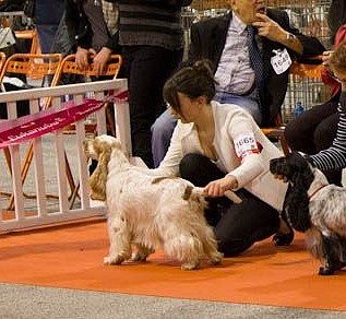 Especially-for-you du Domaine de Kérarzic Vilin - 3ème Très Bon