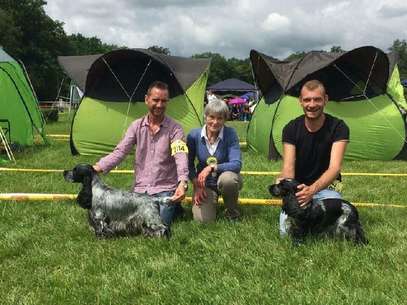 CH. I follow rivers du Domaine de Kérarzic Vilin - 1ère Excellente CAC CACIB BOS