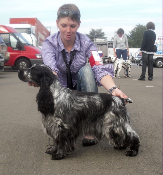 Celtic beauty du Domaine de Kérarzic Vilin - 2ème Excellente