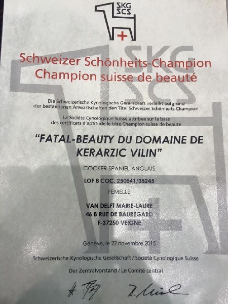 CH. Fatal-beauty du Domaine de Kérarzic Vilin - 1ère excellente CAC RCACIB