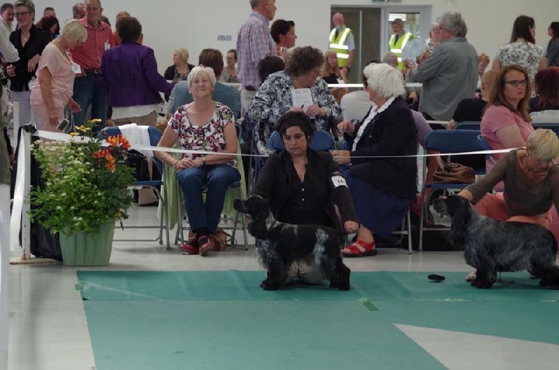 CH. I follow rivers du Domaine de Kérarzic Vilin - 3ème