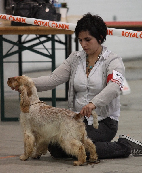 Elastic girl du Domaine de Kérarzic Vilin - 2ème Excellente