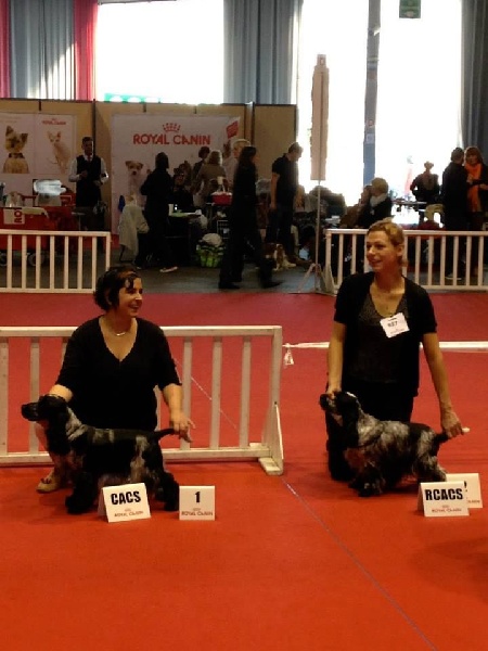 CH. I follow rivers du Domaine de Kérarzic Vilin - 1ère excellent CACS RCACIB