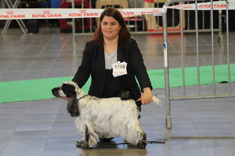 CH. Fatal-beauty du Domaine de Kérarzic Vilin - 1ère Excellente RCACS