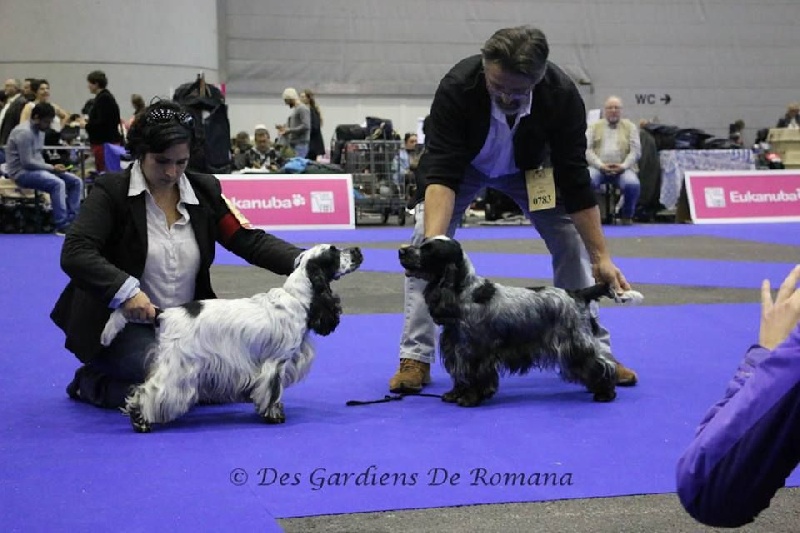 CH. Fatal-beauty du Domaine de Kérarzic Vilin - CAC RCACIB