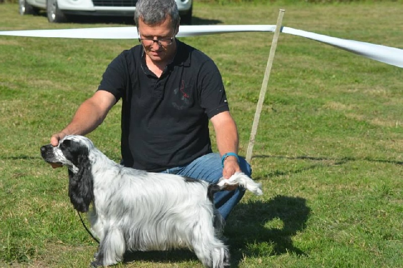 CH. Fatal-beauty du Domaine de Kérarzic Vilin - Best In SHOW!