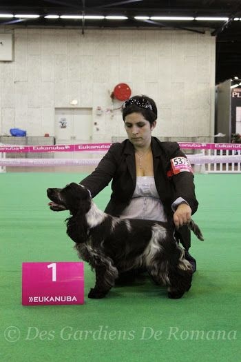 CH. I follow rivers du Domaine de Kérarzic Vilin - 1ère Excellente