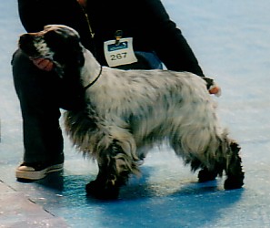 Umia des Epinais - 2ème excellente