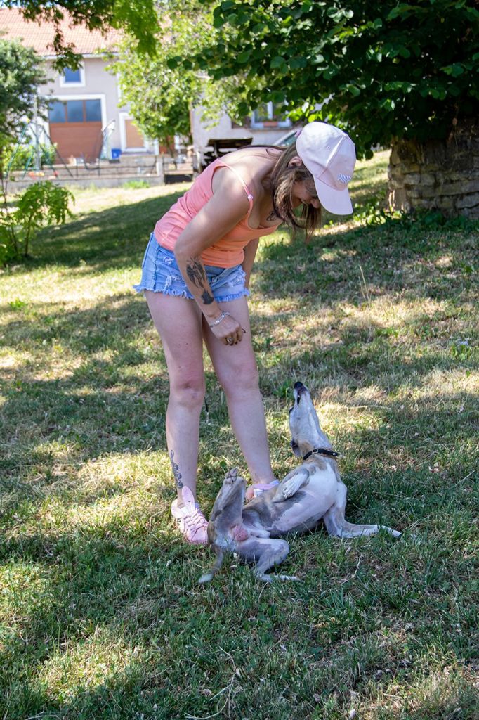 Publication : the New Life Des Collines Noires