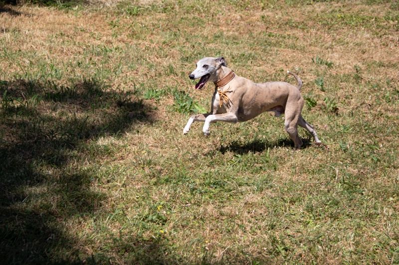 Publication : the New Life Des Collines Noires