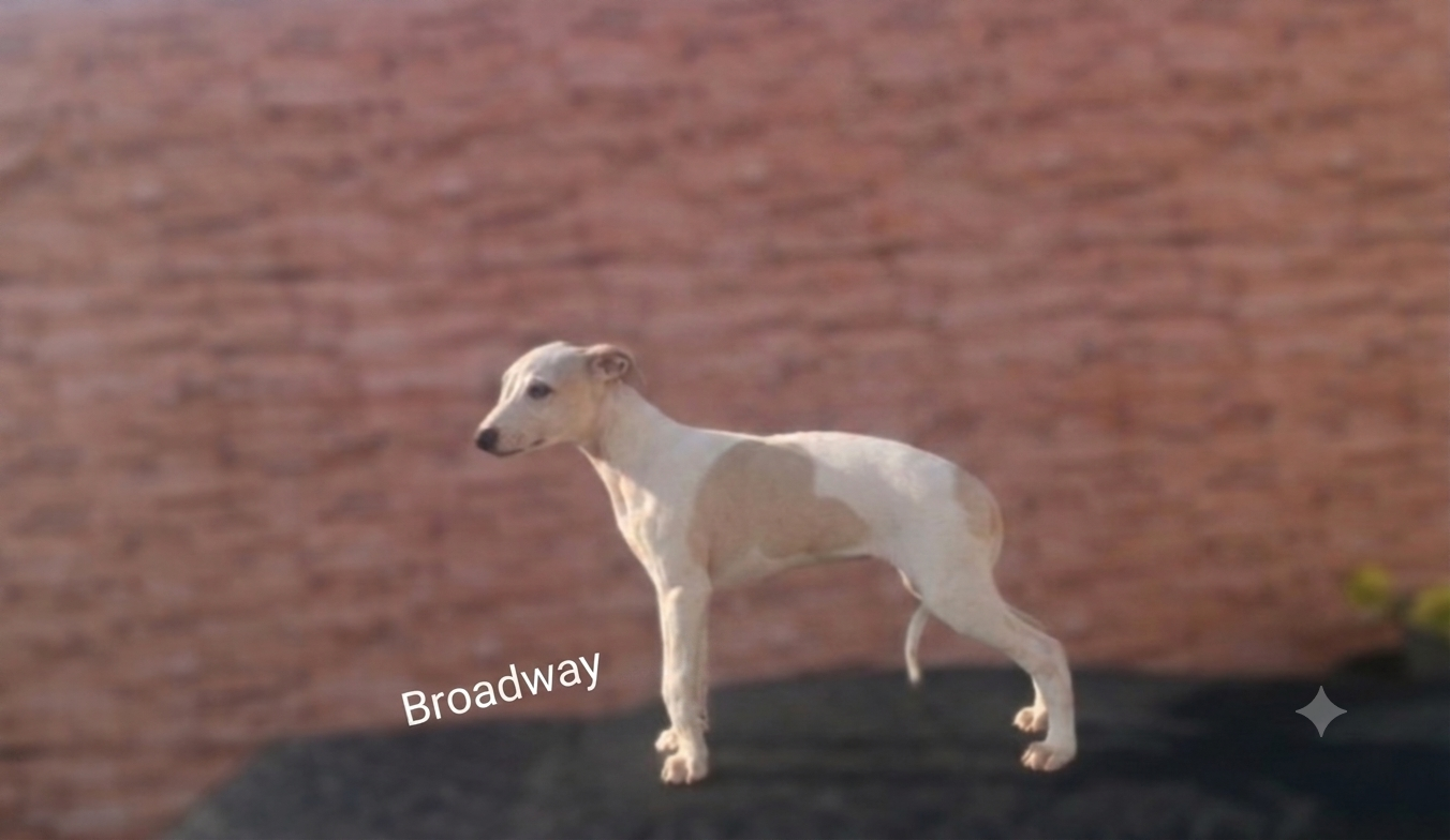 Broadway