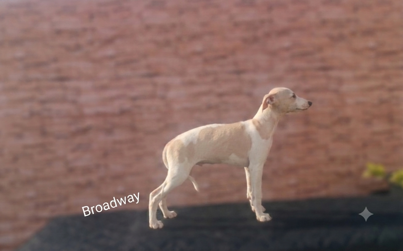 Broadway
