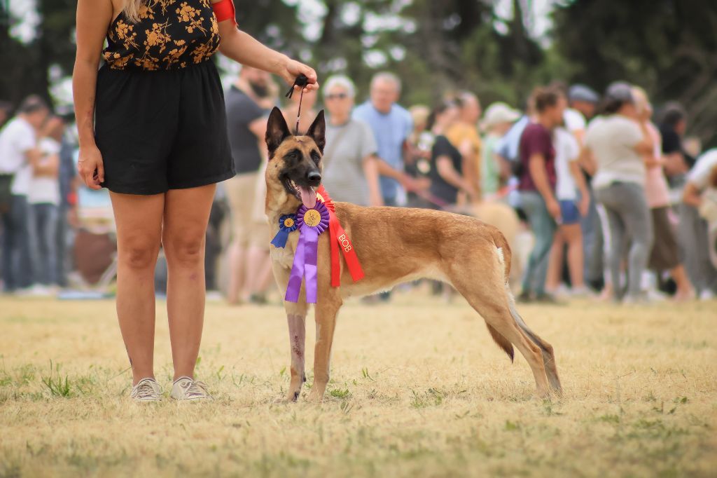 Pahal De Helft Van Haar Kaylah