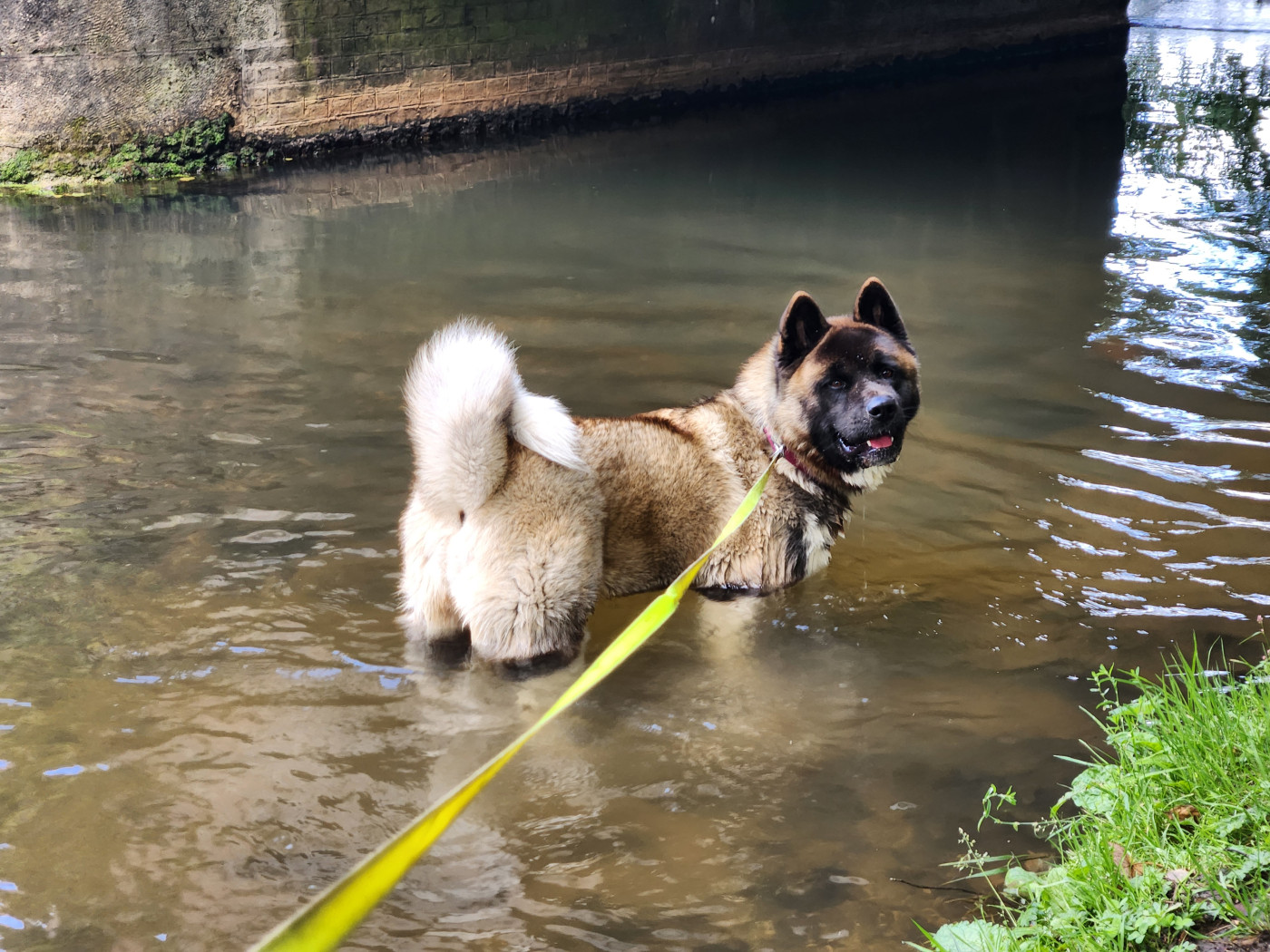 Vikiz Des Gardiens De L'arche De Noé