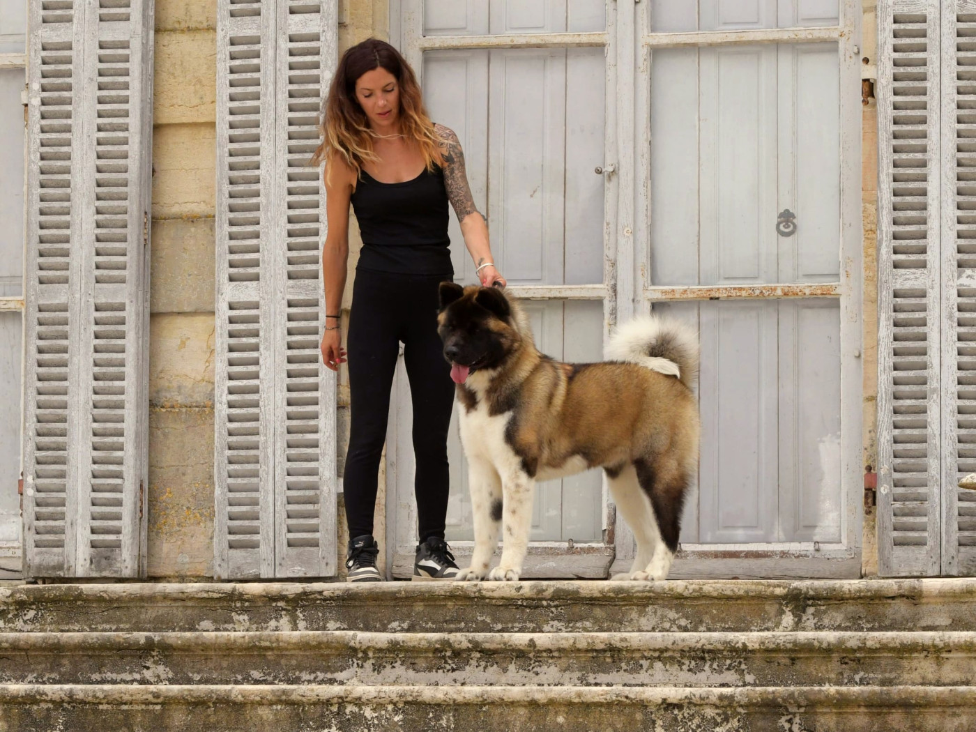 Vikiz Des Gardiens De L'arche De Noé