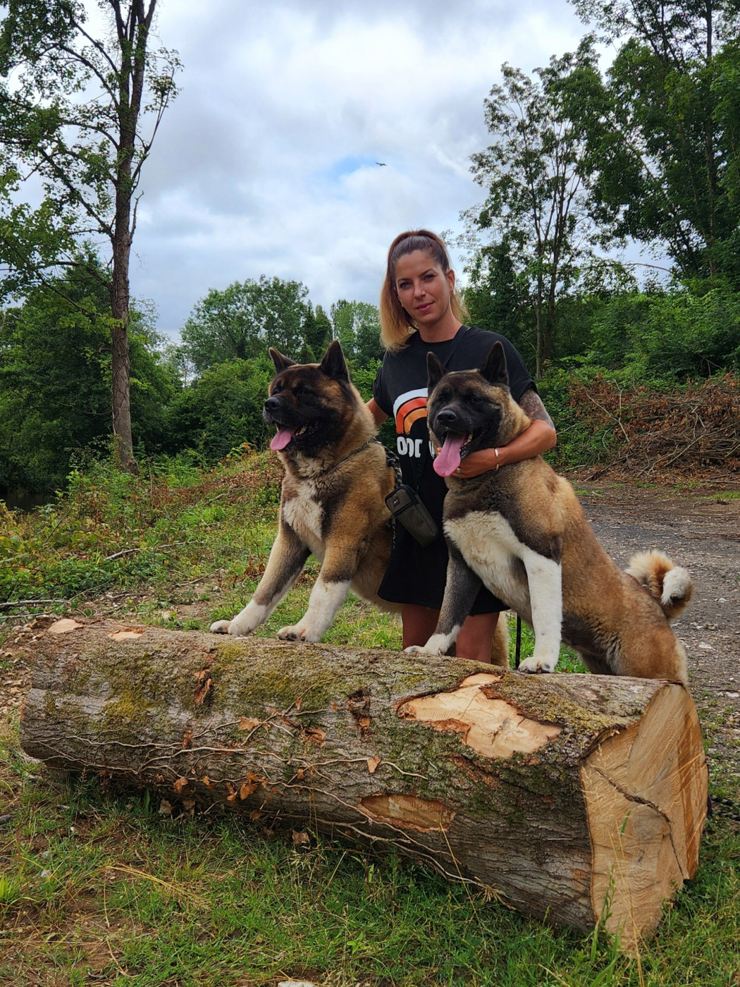 Reveal the tempest Des Gardiens De L'arche De Noé