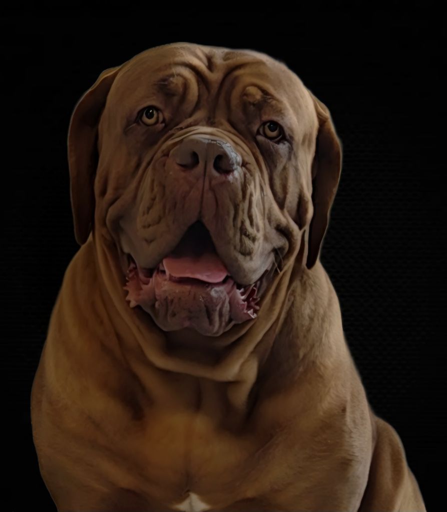 Vacuna De La Riviere De Sunny