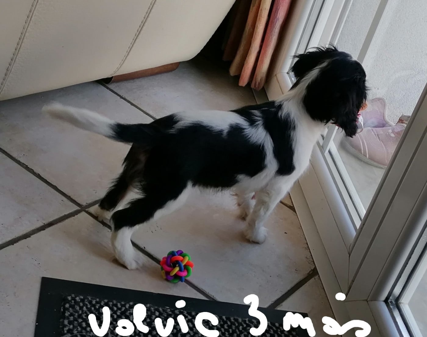 Publication : D'Ez Mortes Terres