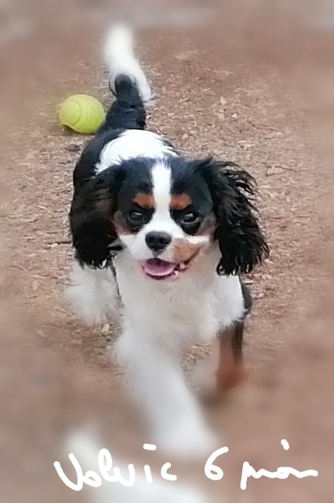 Publication : D'Ez Mortes Terres