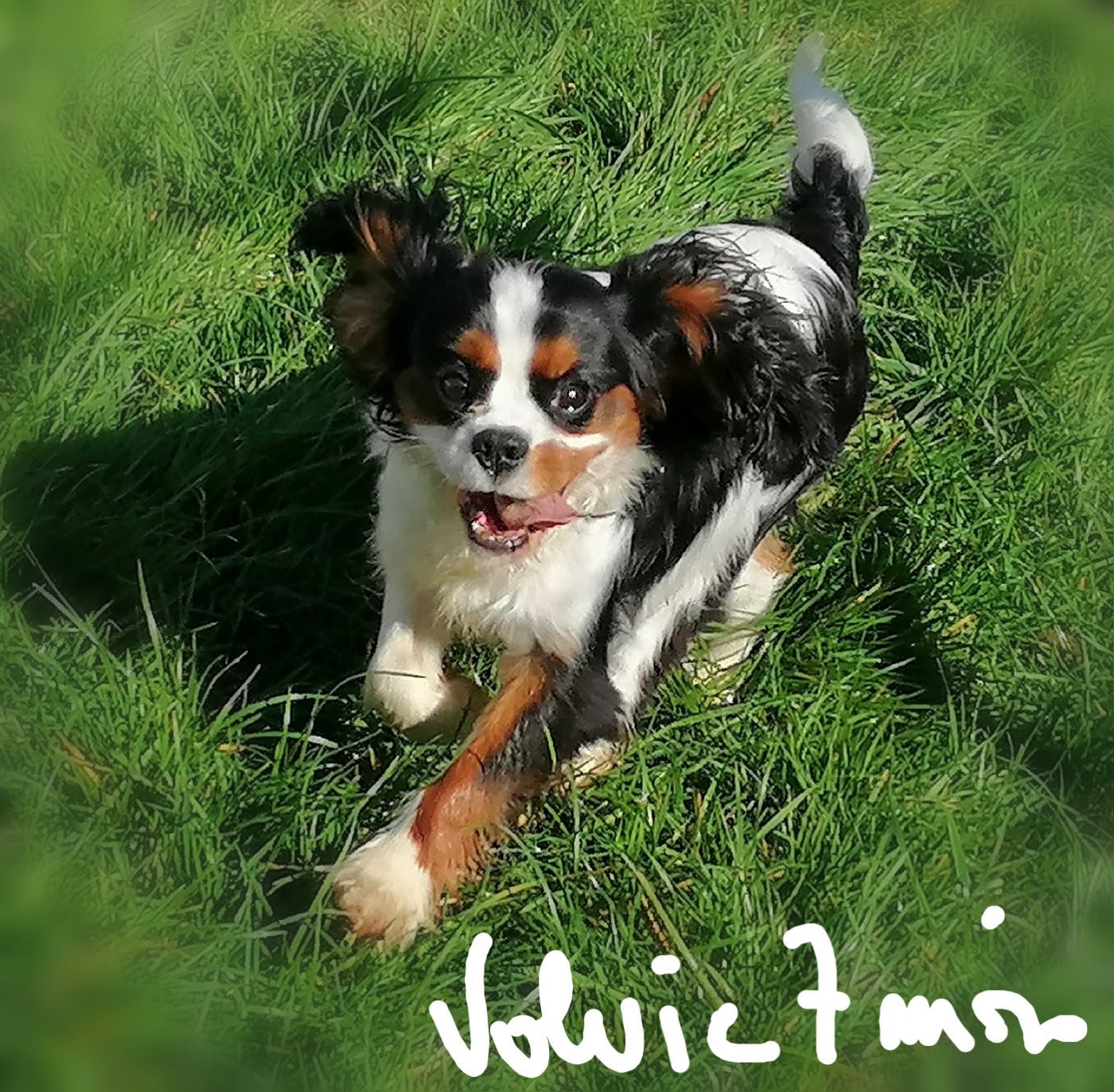 Publication : D'Ez Mortes Terres