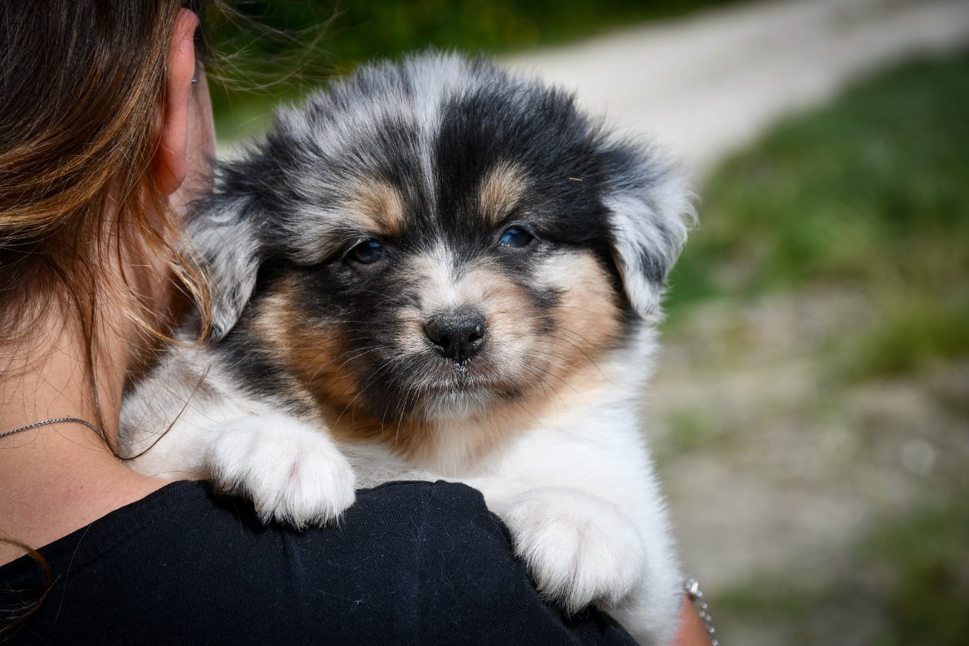 CHIOT 1