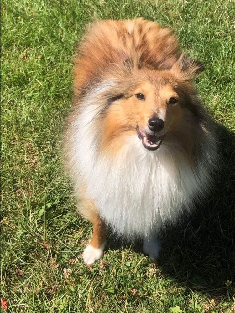 Simone Du Domaine Des Embruns Salés