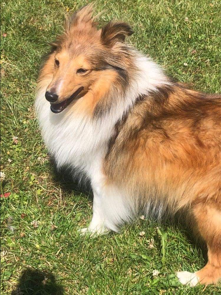 Simone Du Domaine Des Embruns Salés