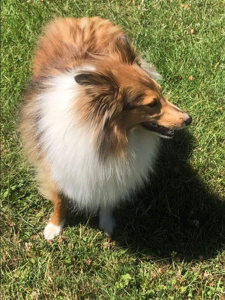 Simone Du Domaine Des Embruns Salés