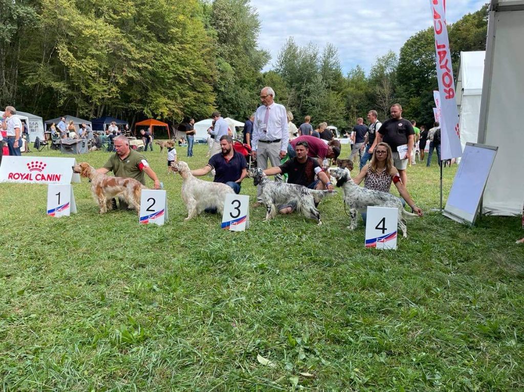Paille des Brutes de Cel - 4 ème Exc COF