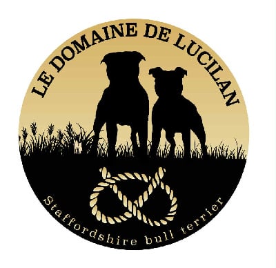 du Domaine De Lucilan