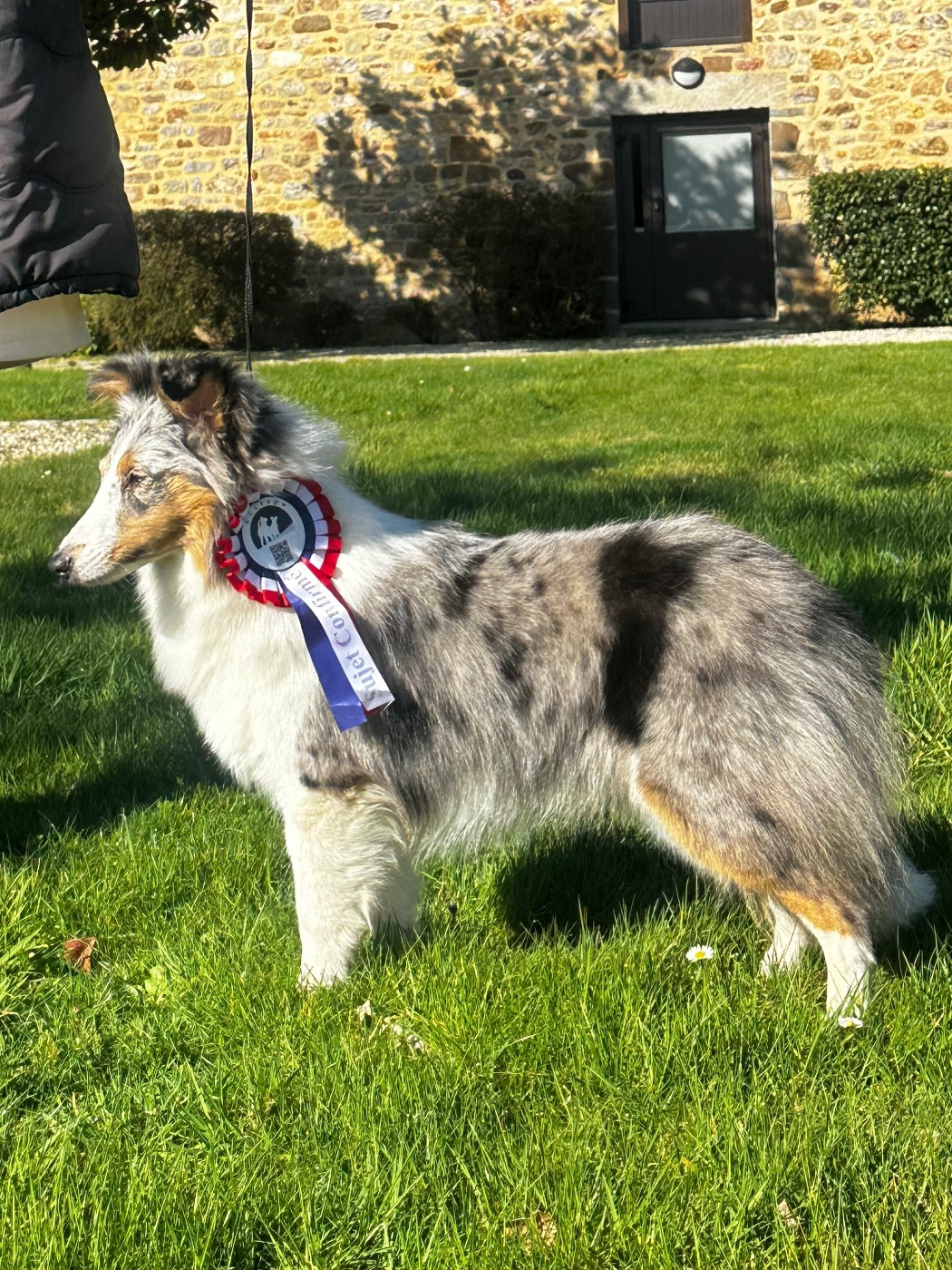 Alya Déesse De La Forêt De Milassya