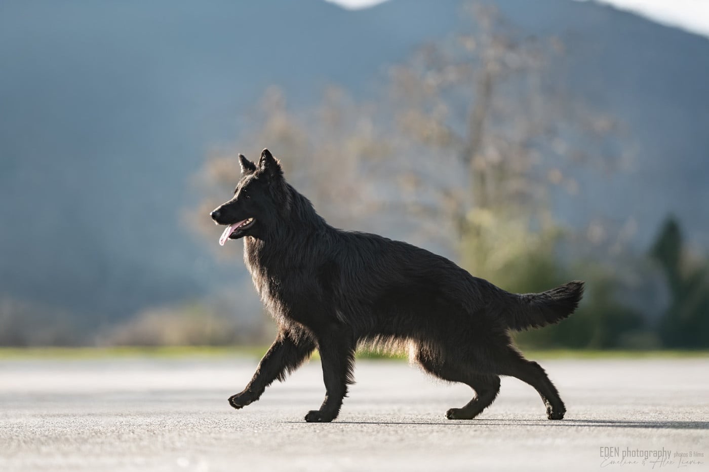 Publication : du Domaine de Milk