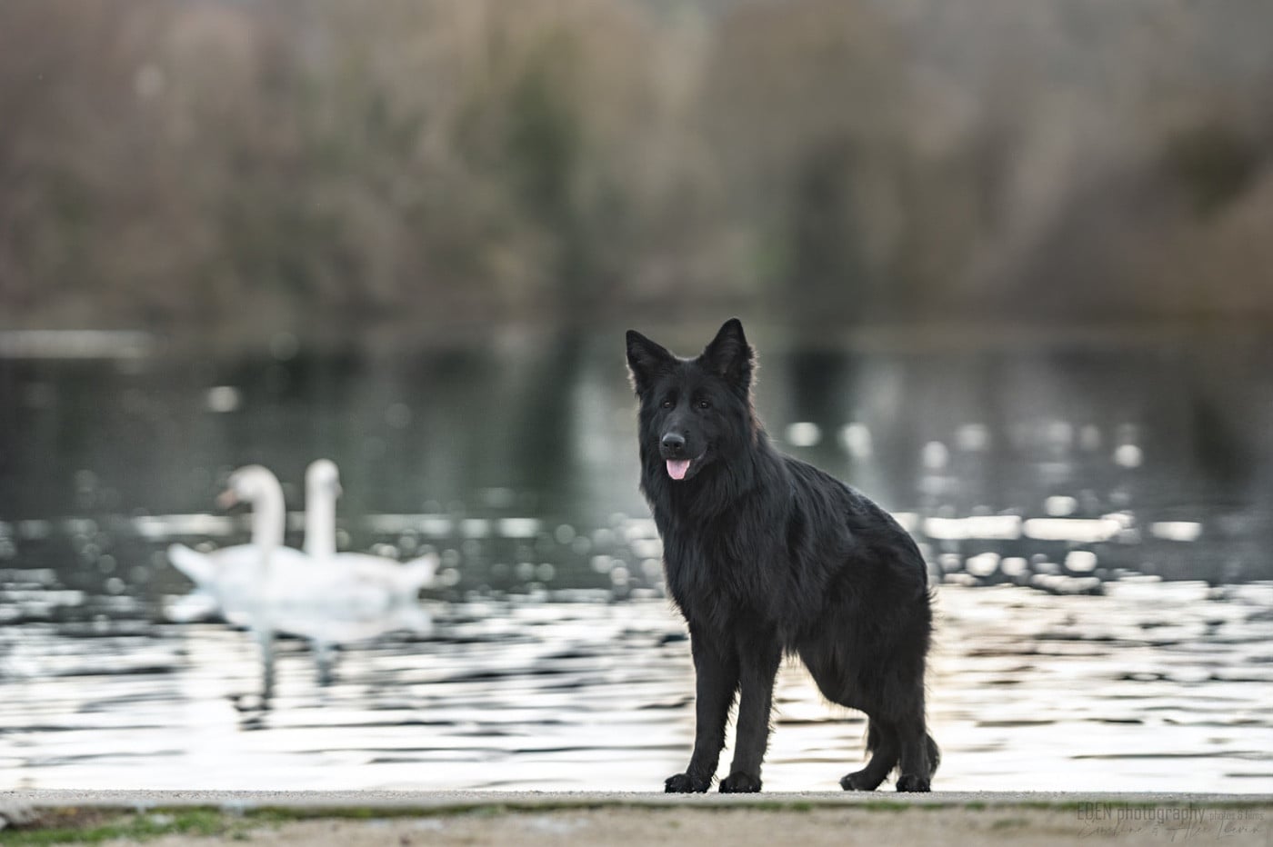 Publication : du Domaine de Milk