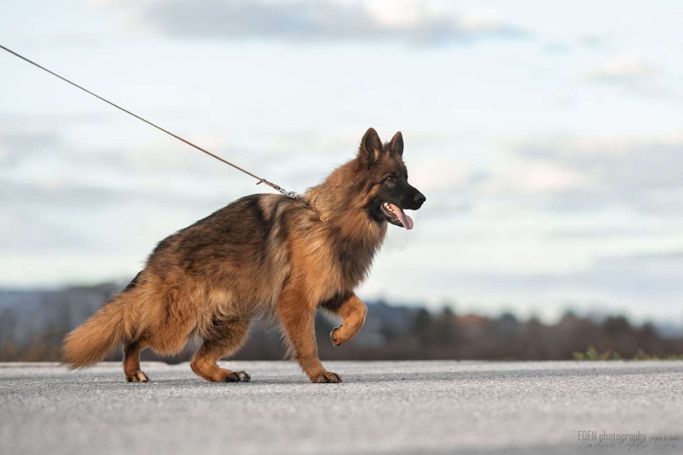 Publication : du Domaine de Milk