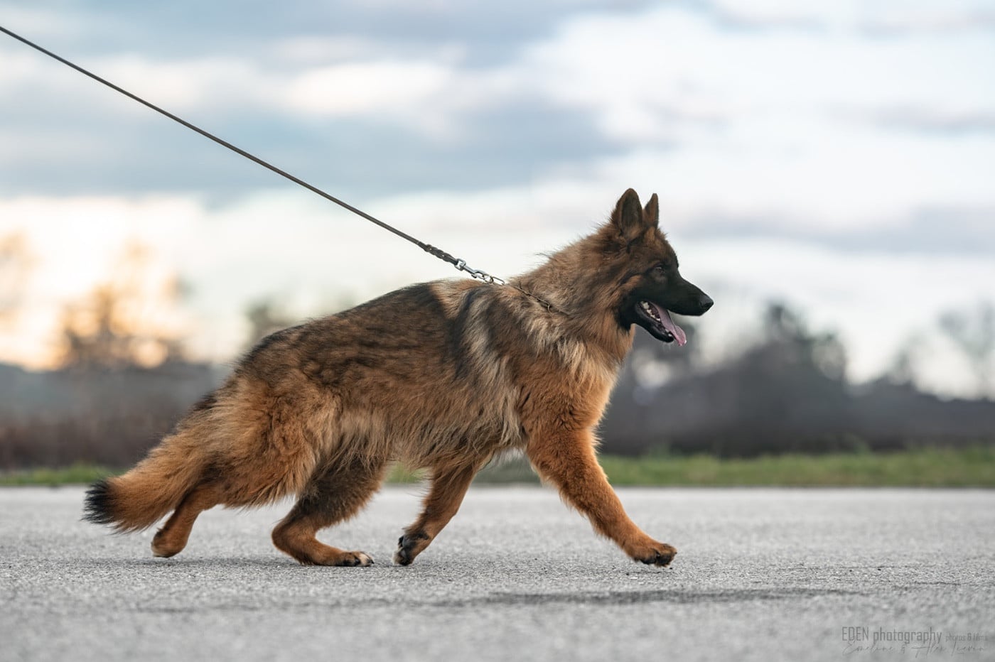 Publication : du Domaine de Milk