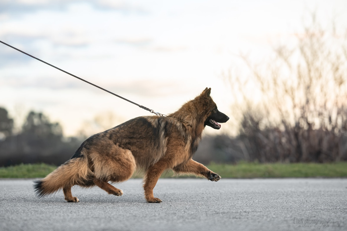 Publication : du Domaine de Milk