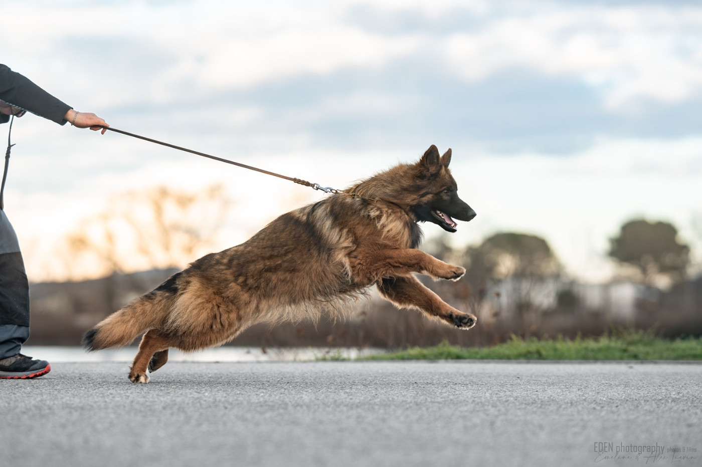 Publication : du Domaine de Milk