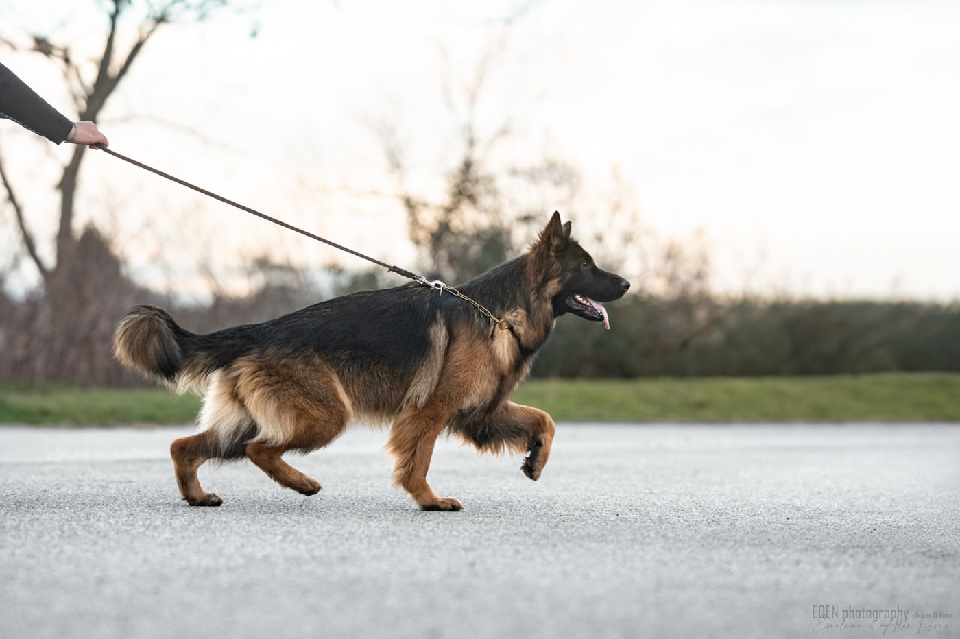 Publication : du Domaine de Milk