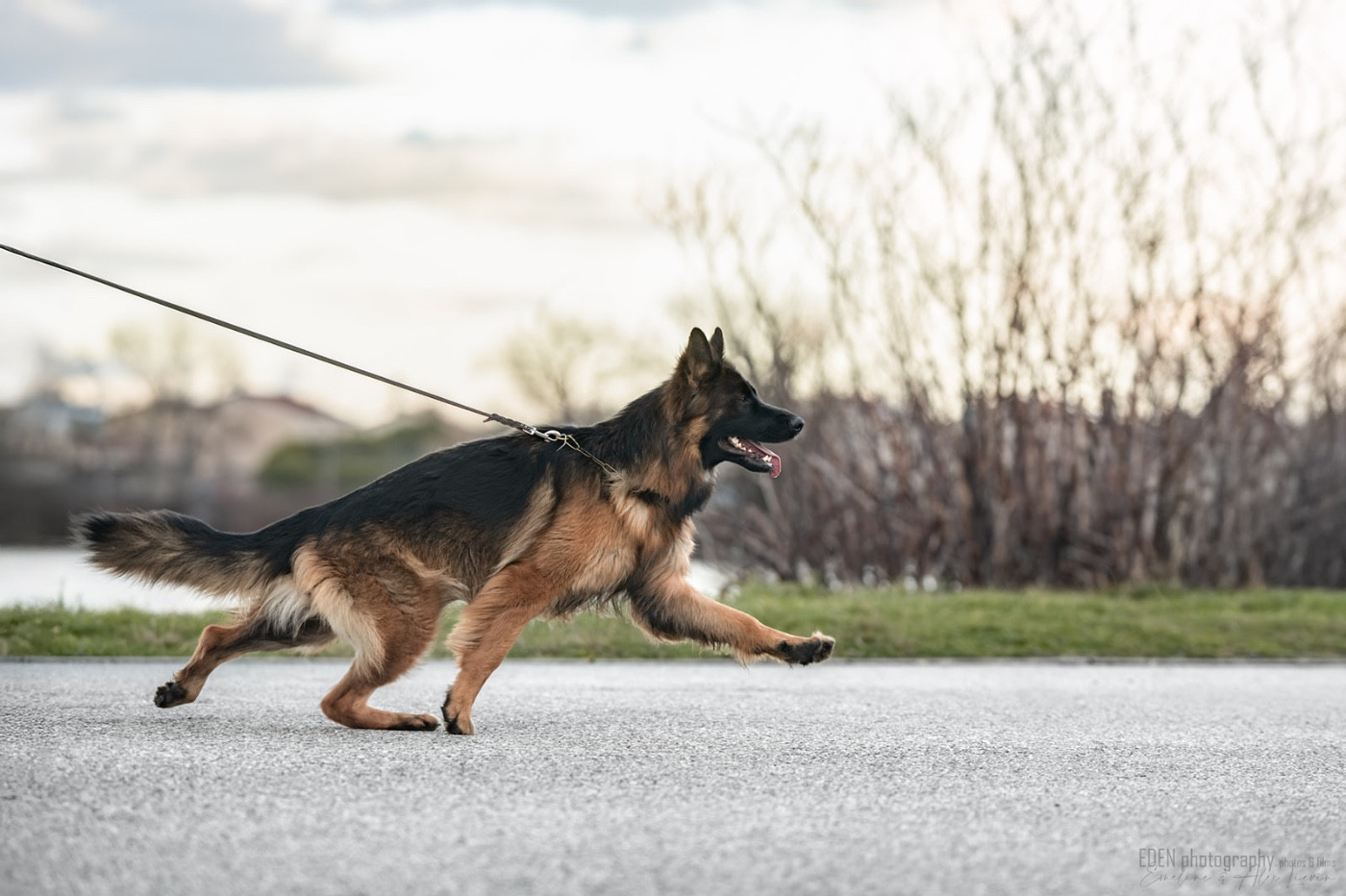 Publication : du Domaine de Milk